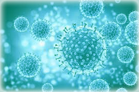 coronavirus-reached-new-high-in-india