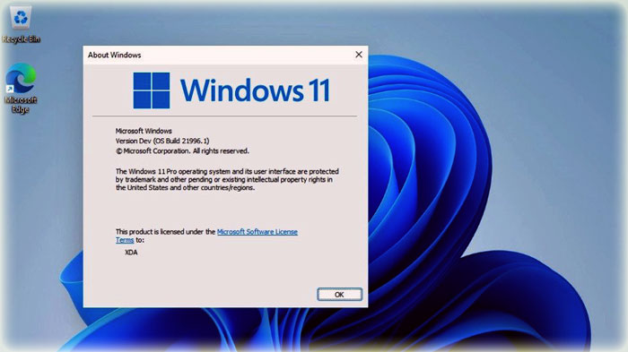 Microsoft-Windows-11