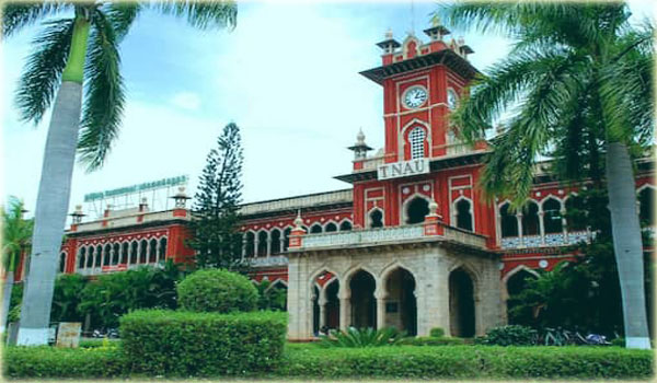 Tamilnadu-Agricultural-university